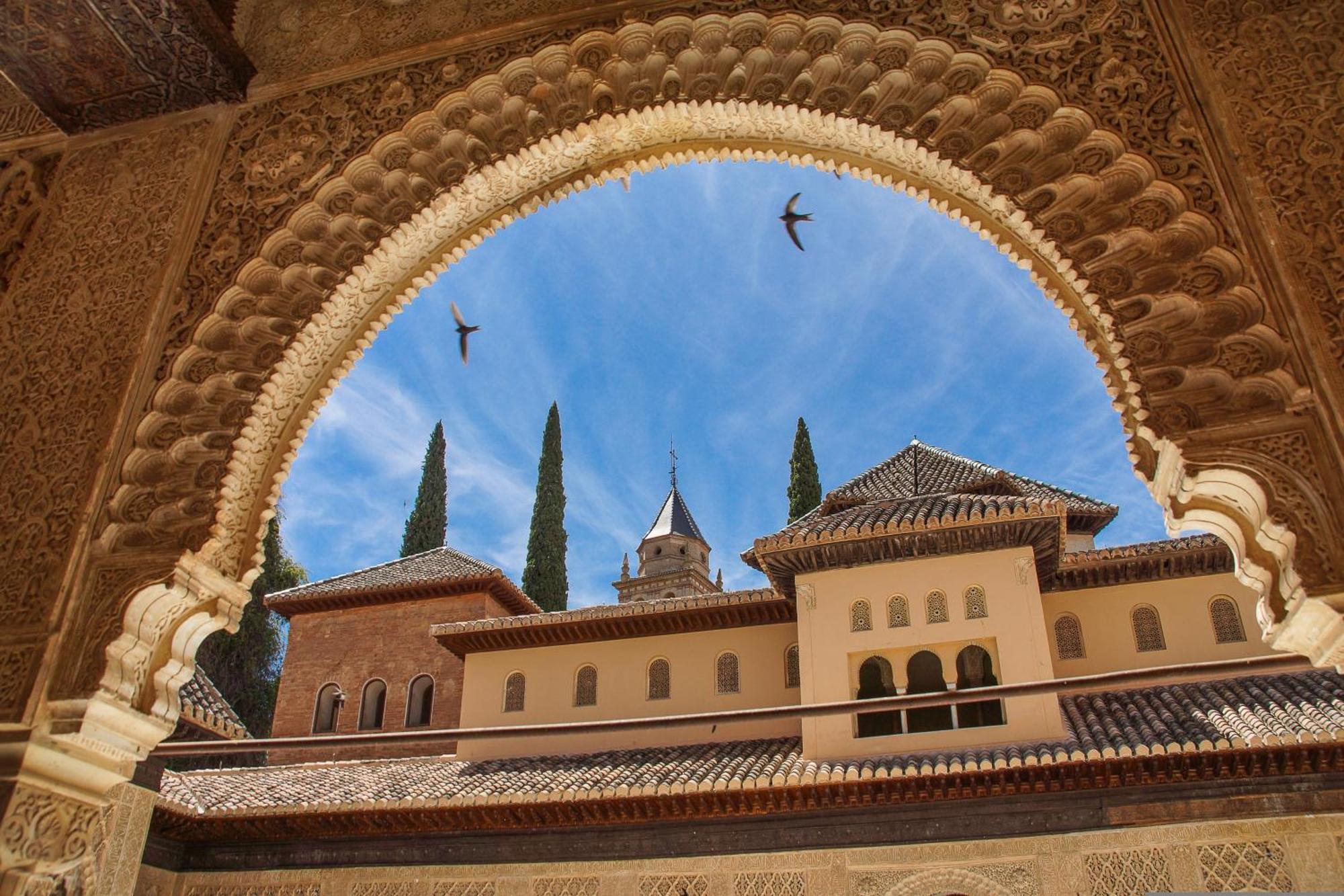 Dali'S Sanctuary In Granada - Private Parking Free Apartment Ngoại thất bức ảnh
